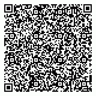 vCard 79100029338