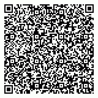 vCard 79100029863