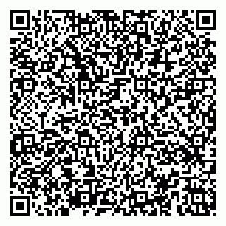 vCard 79100029933