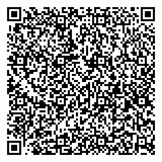 vCard 79100030331