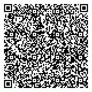 vCard 79100033131