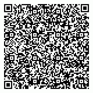 vCard 79100033211