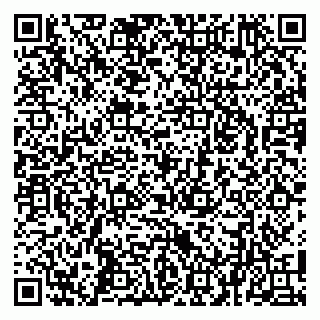 vCard 79100033262
