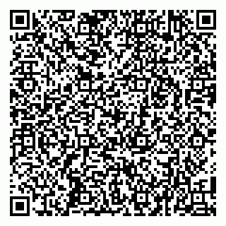 vCard 79100033263
