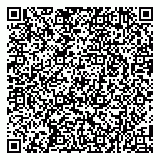 vCard 79100033271