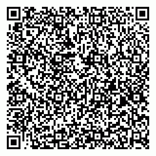 vCard 79100033303