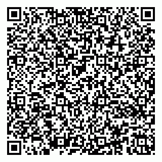 vCard 79100033341