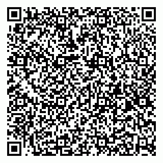 vCard 79100033360