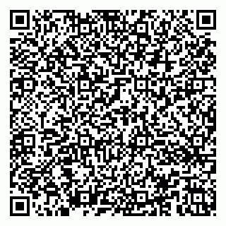 vCard 79100033463