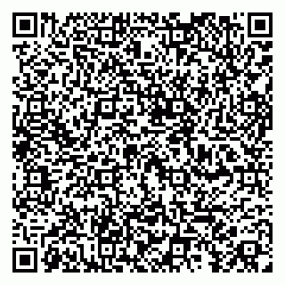 vCard 79100033863