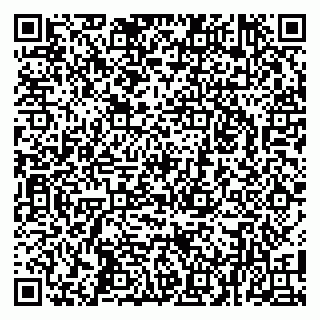 vCard 79100034173
