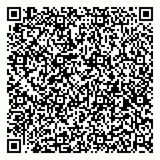 vCard 79100034333