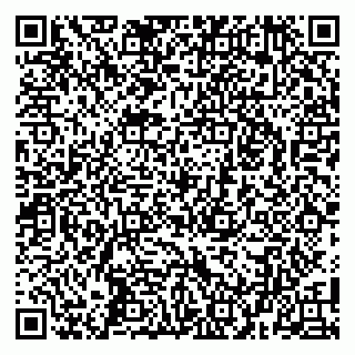 vCard 79100034381