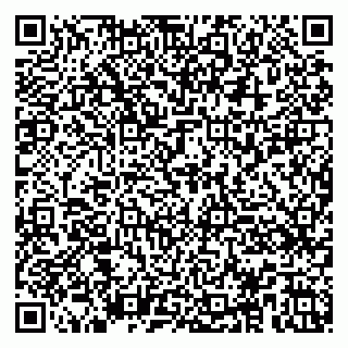 vCard 79100035293