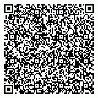 vCard 79100035331