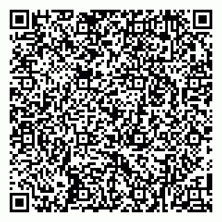 vCard 79100035339