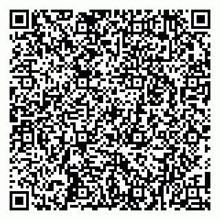 vCard 79100036331