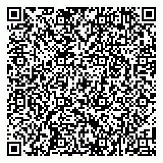 vCard 79100037131