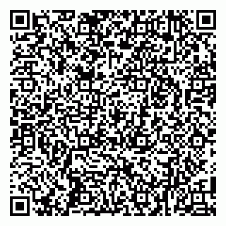 vCard 79100037331