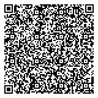 vCard 79100038020