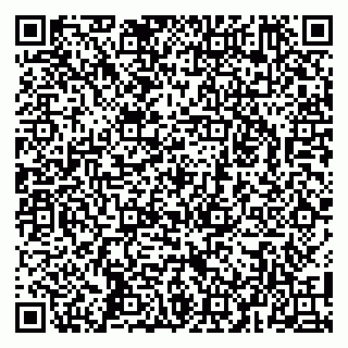 vCard 79100038102