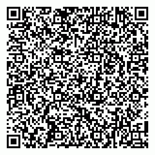 vCard 79100039733