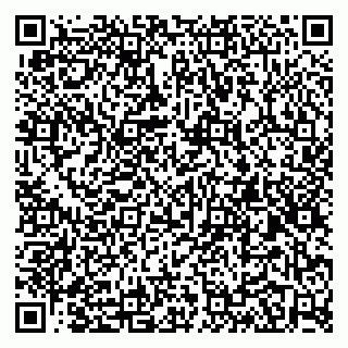 vCard 79100040211