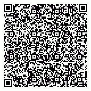 vCard 79100040271