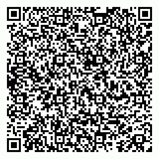 vCard 79100040293