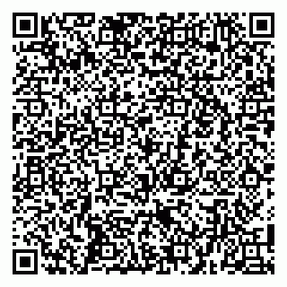 vCard 79100040294