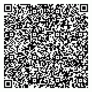 vCard 79100040329