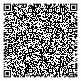 vCard 79100040331
