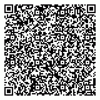 vCard 79100040415