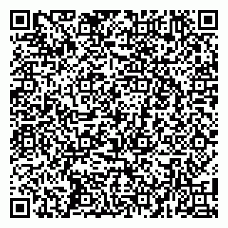 vCard 79100040417