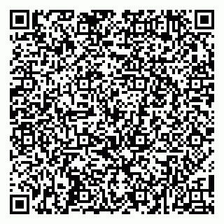 vCard 79100040431