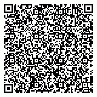 vCard 79100041303