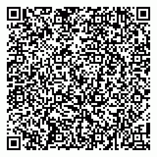 vCard 79100045131