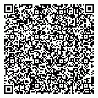 vCard 79100045331