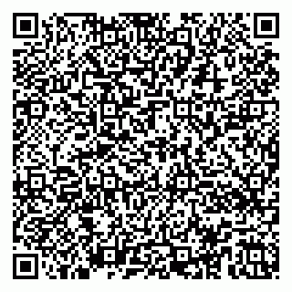 vCard 79100046321