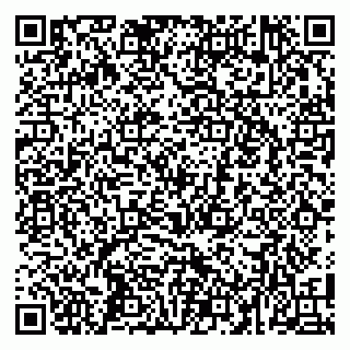 vCard 79100046333