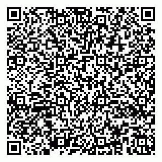 vCard 79100050294