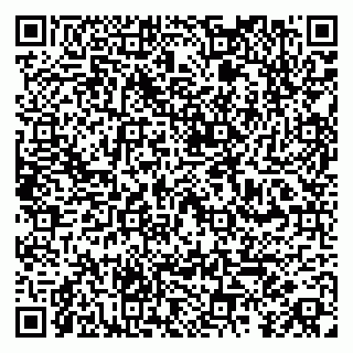 vCard 79100050335