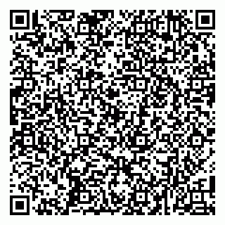 vCard 79100053131