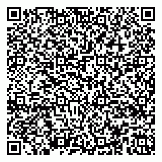 vCard 79100058331