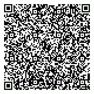 vCard 79100110001