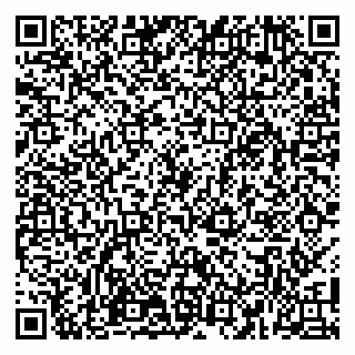 vCard 79100110011
