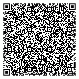 vCard 79100110013