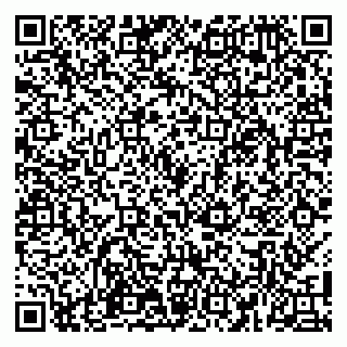 vCard 79100110018