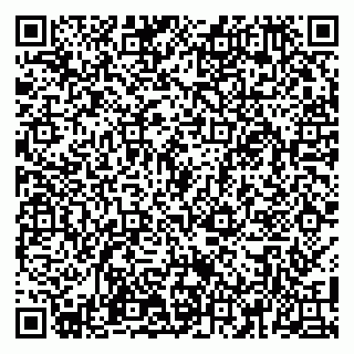 vCard 79100110020