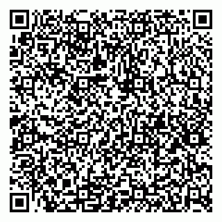 vCard 79100110026